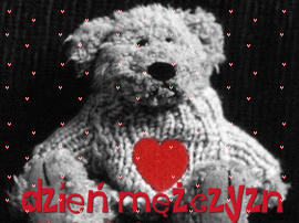 Szary miś dzień mężczyzn